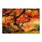 Lumaprints 48" Autumn Symphony Canvas Giclee Wall Art